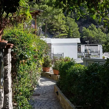 Apartment Casa Allegra - With Terrace & Panoramic View Capri